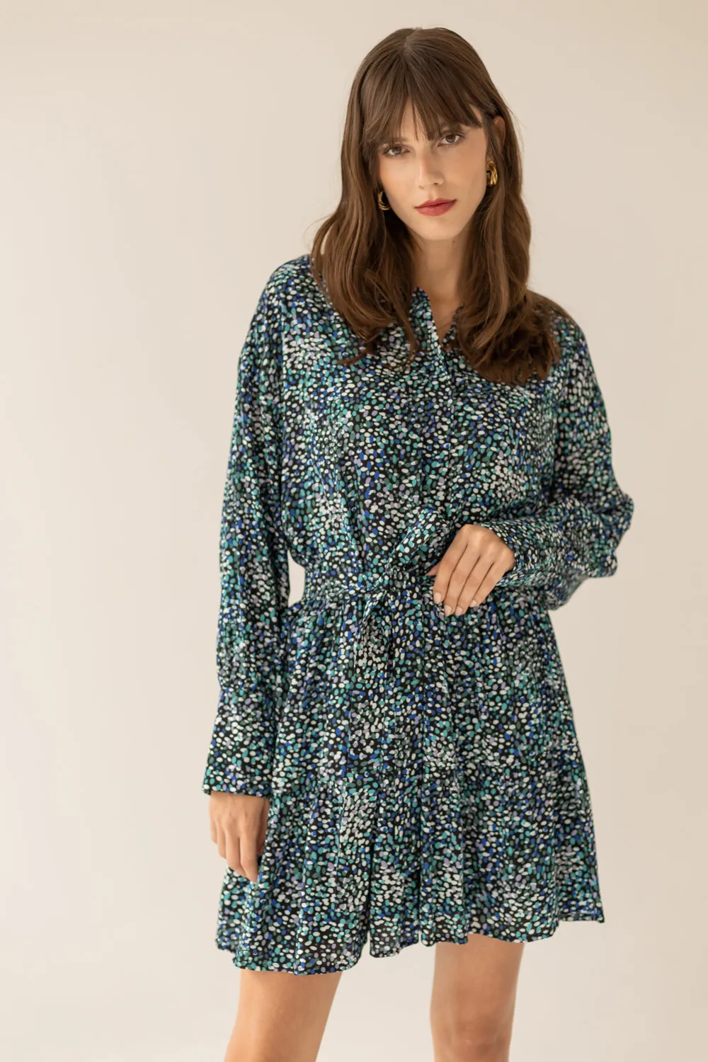 Anais Dress Small Print