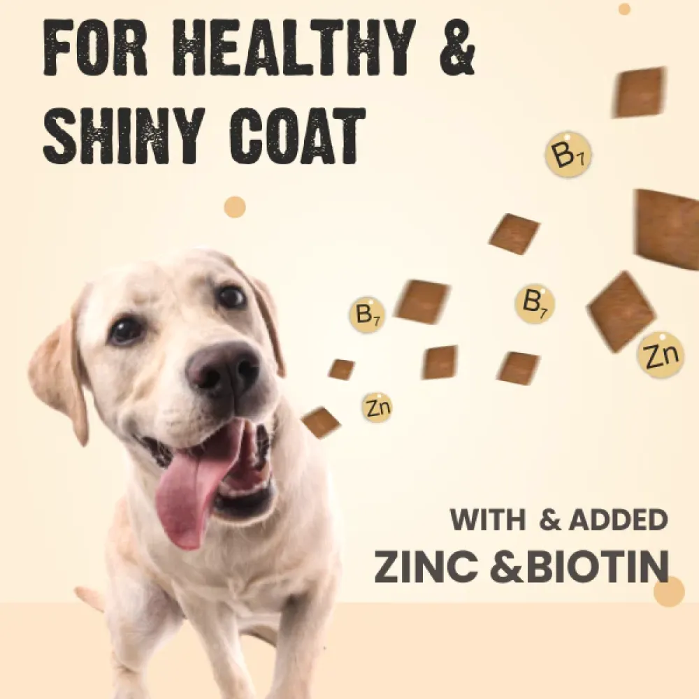 Bark Out Loud by Vivaldis Pillows for Skin & Coat Dog Treats (Limited Shelf Life) (Buy 1 Get 1)