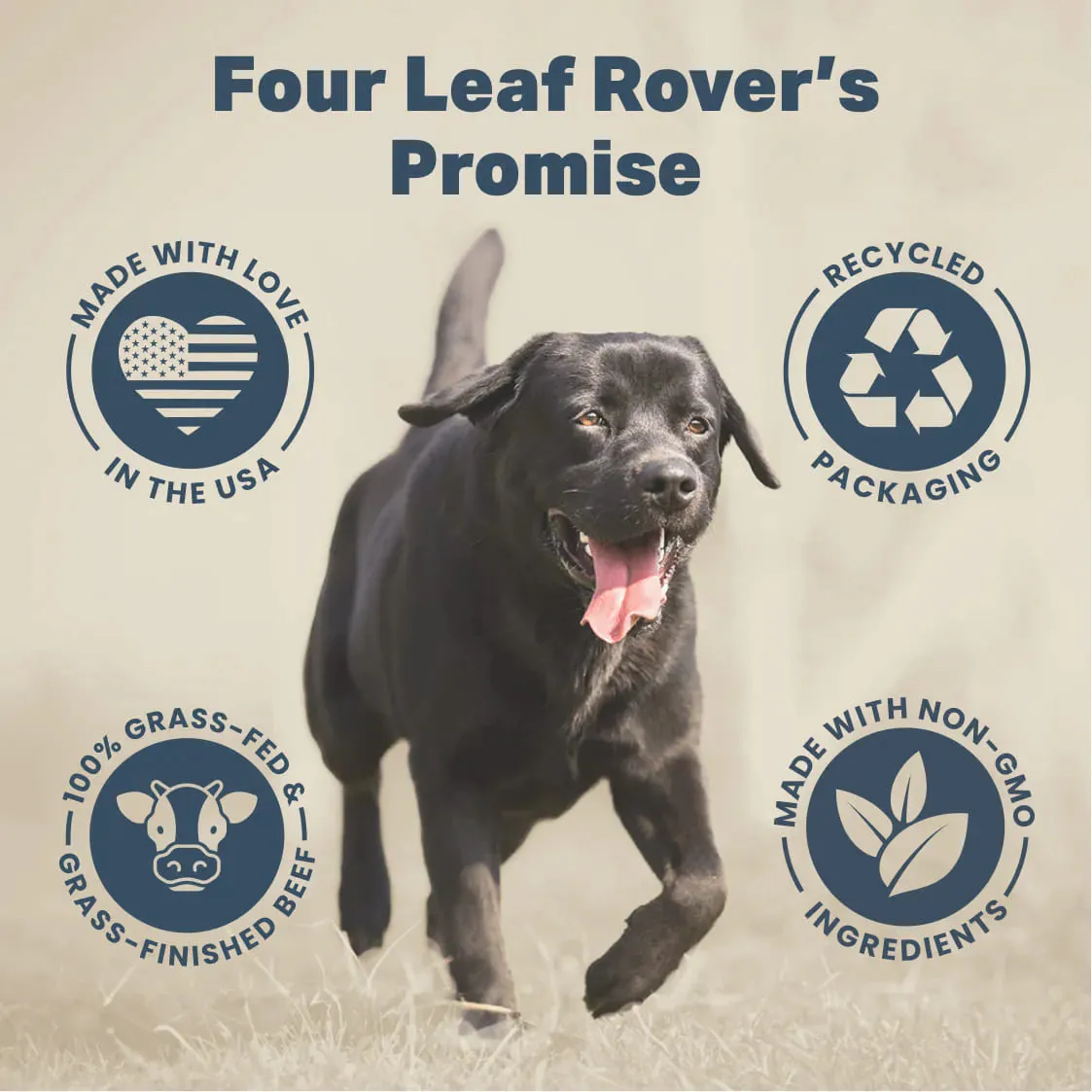 Four Leaf Rover Kibble Fixer Functional Meal Topper for Dogs