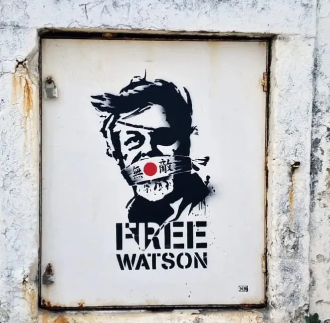 'Free Watson' by GOIN. Unisex Pullover Hoodie -  #FREEPAULWATSON