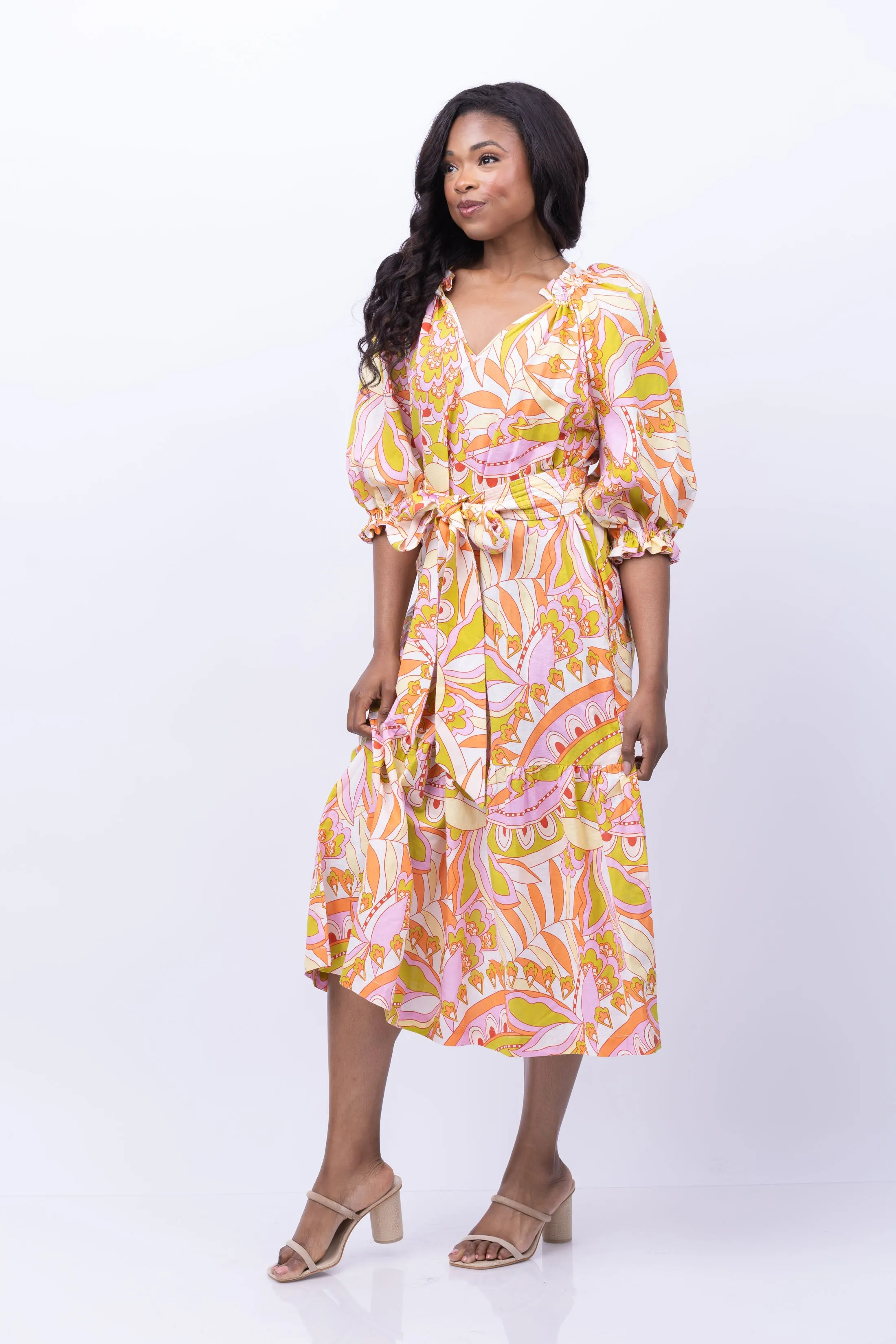 Gilner Farrar Waverly Dress in Sunburst Print