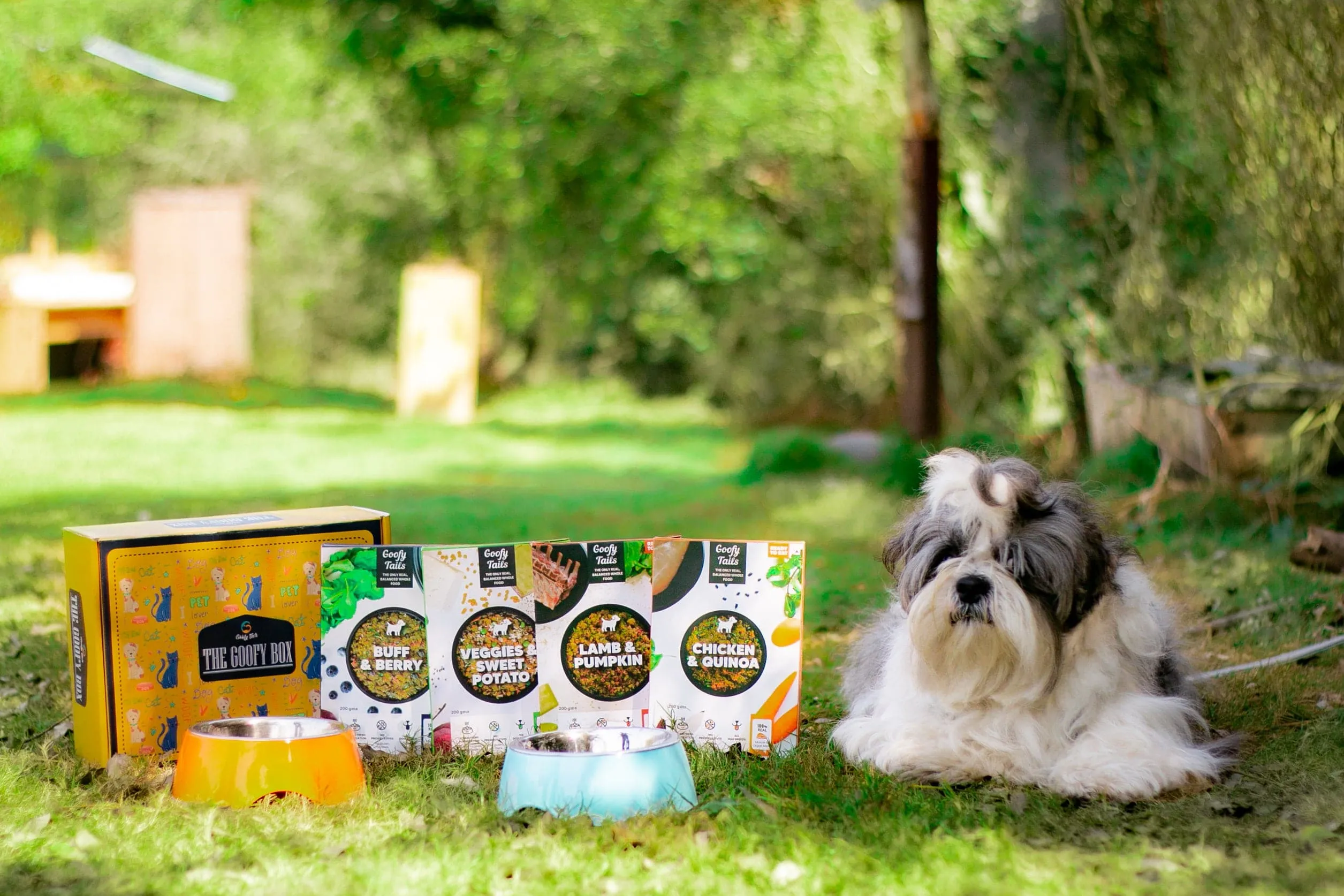 Goofy Tails Chicken and Quinoa Fresh Food for Dogs and Puppies Buy 1 Get 1 (BOGO)