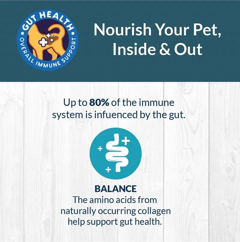 Goofy Tails  Sea Food Bone Broth for Dogs and Puppies Buy 1 Get 1 (BOGO)