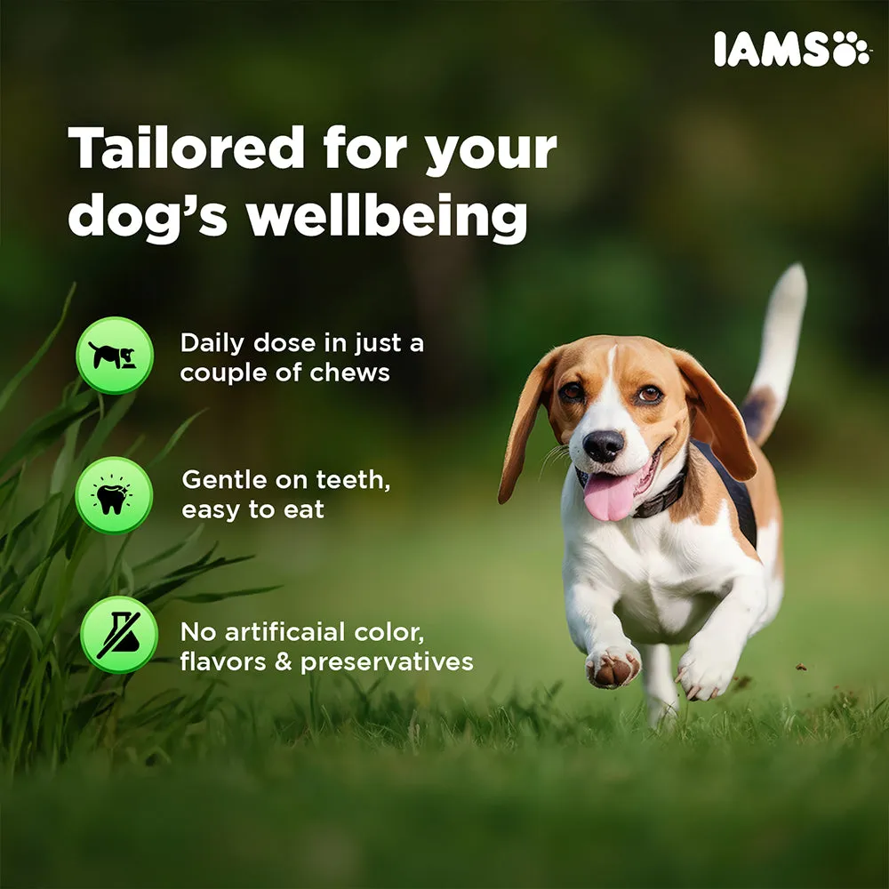 IAMS Proactive Health Dog Supplement For Healthy Immune System (Limited Shelf Life) (Buy 1 Get 1)