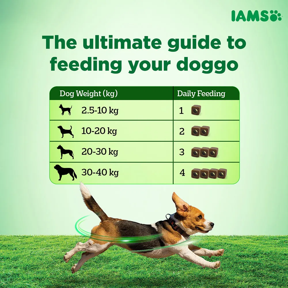 IAMS Proactive Health Dog Supplement For Healthy Immune System (Limited Shelf Life) (Buy 1 Get 1)