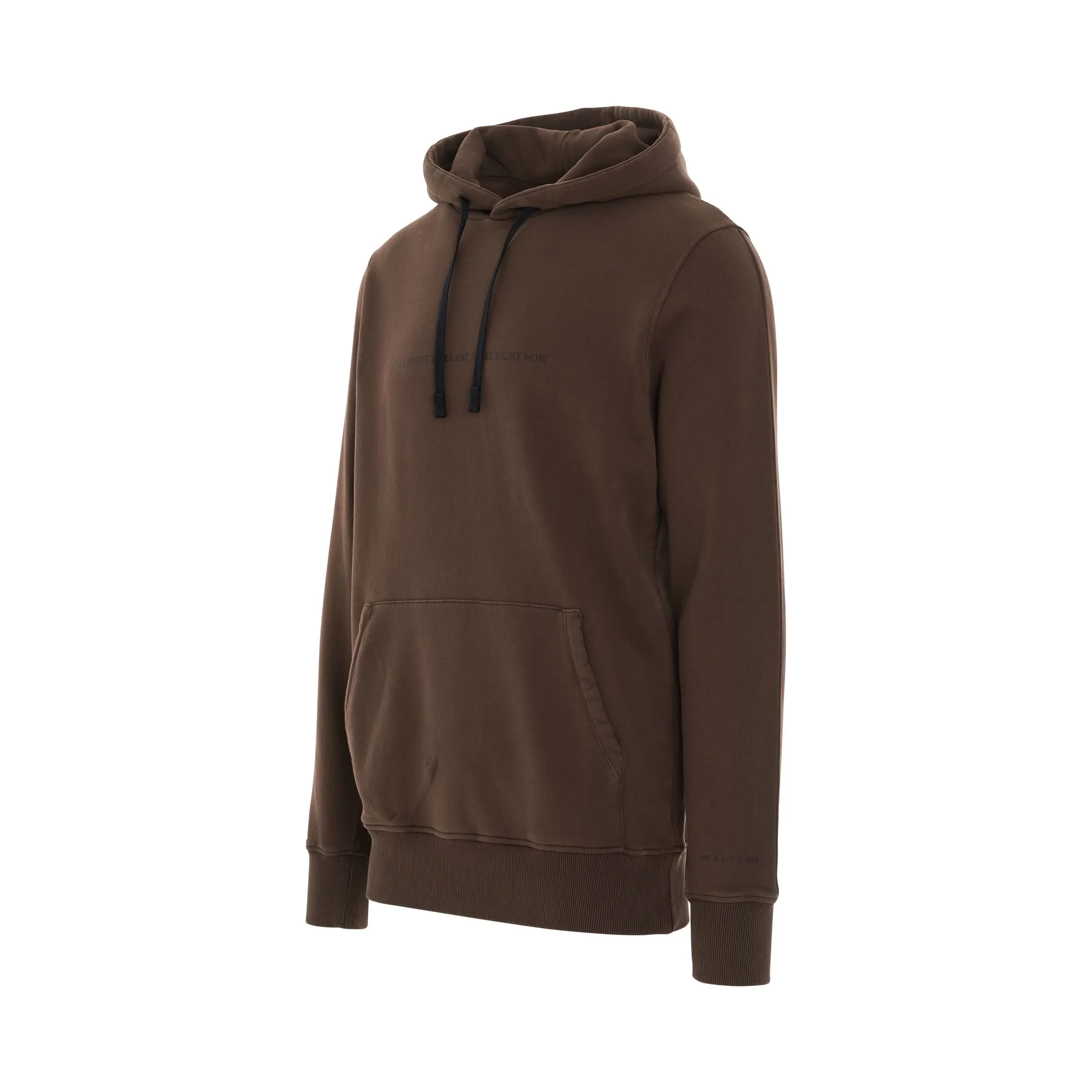 Infared Logo Hoodie in Dark Brown